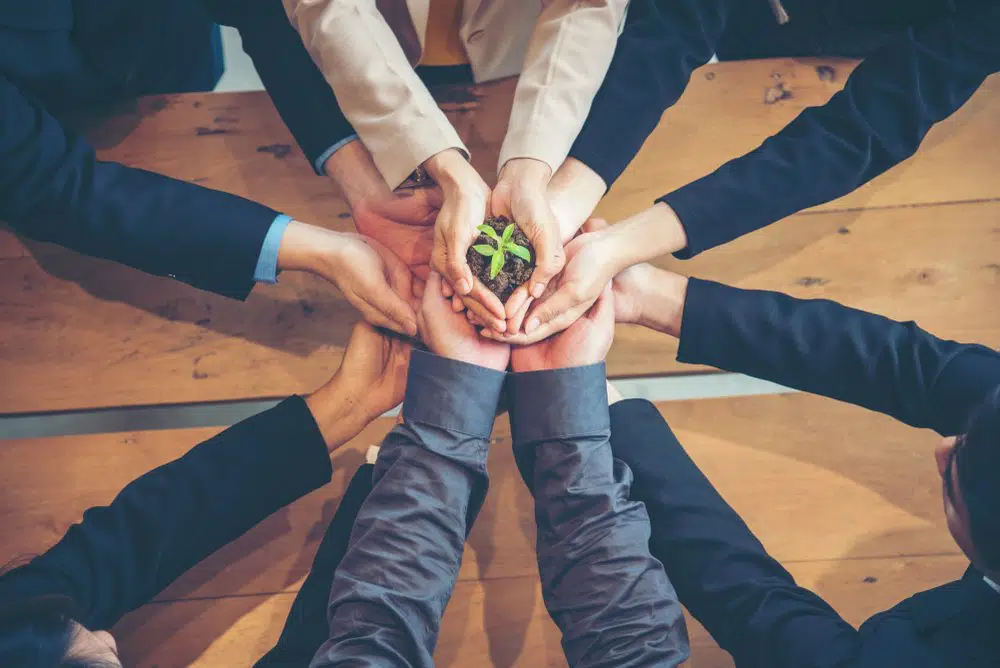 A imagem mostra diversas mãos, uma sob as outras, segurando juntas, uma mudinha de planta.