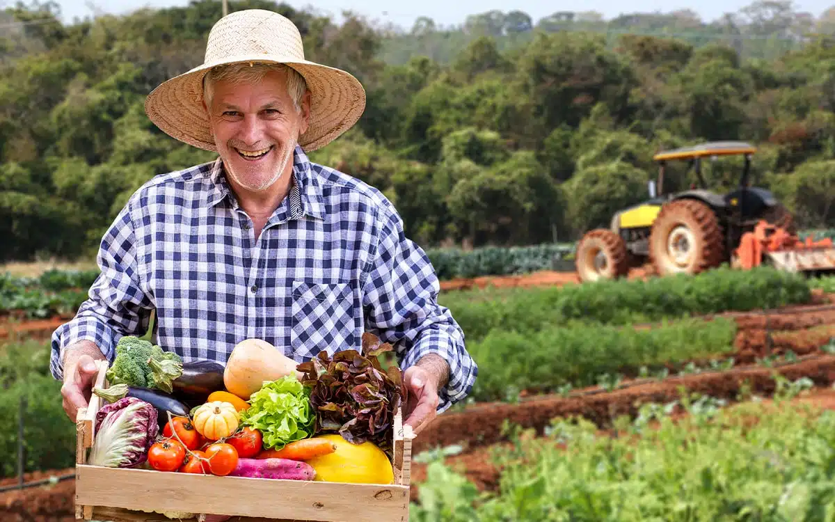 Um Pequeno Produtor Rural Vende Um Quilograma